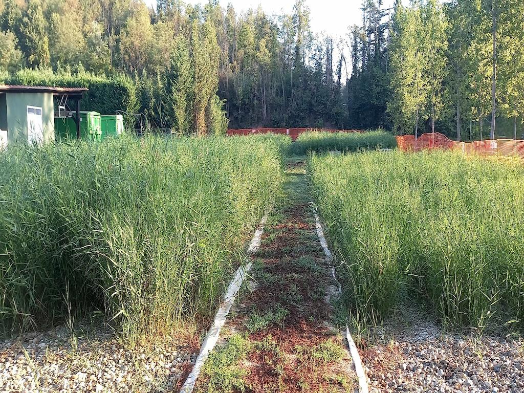 Fitodepurazione plurivasca a doppia linea cantina Araldica, Monferrato